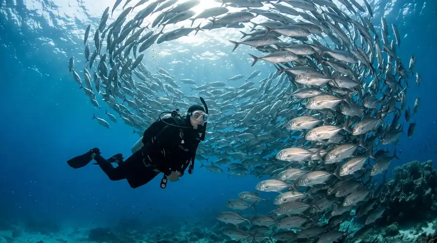 Scuba diving session at the famous Sipadan Marine Park Santiri Island Resort